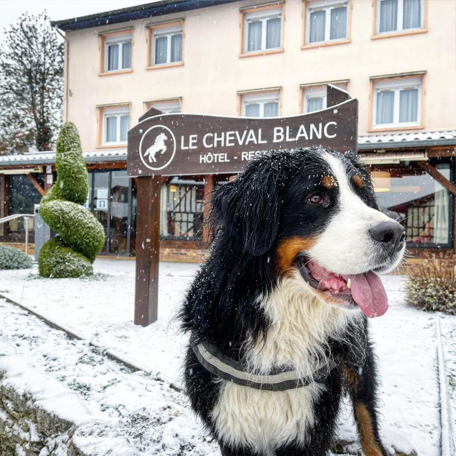 Le Cheval Blanc - Lac Du Der - Logis Hotel Giffaumont-Champaubert Exterior foto